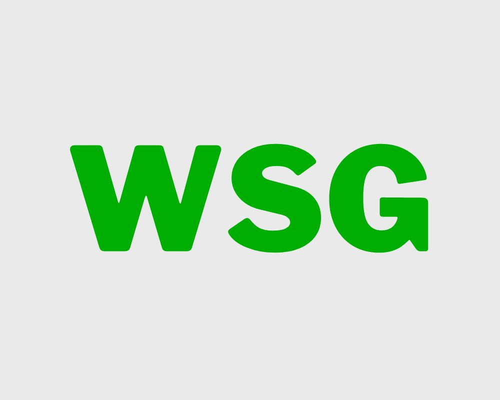 WSG Meaning in Text and Social Media